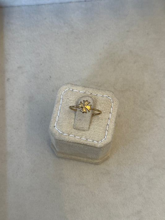Noor ring