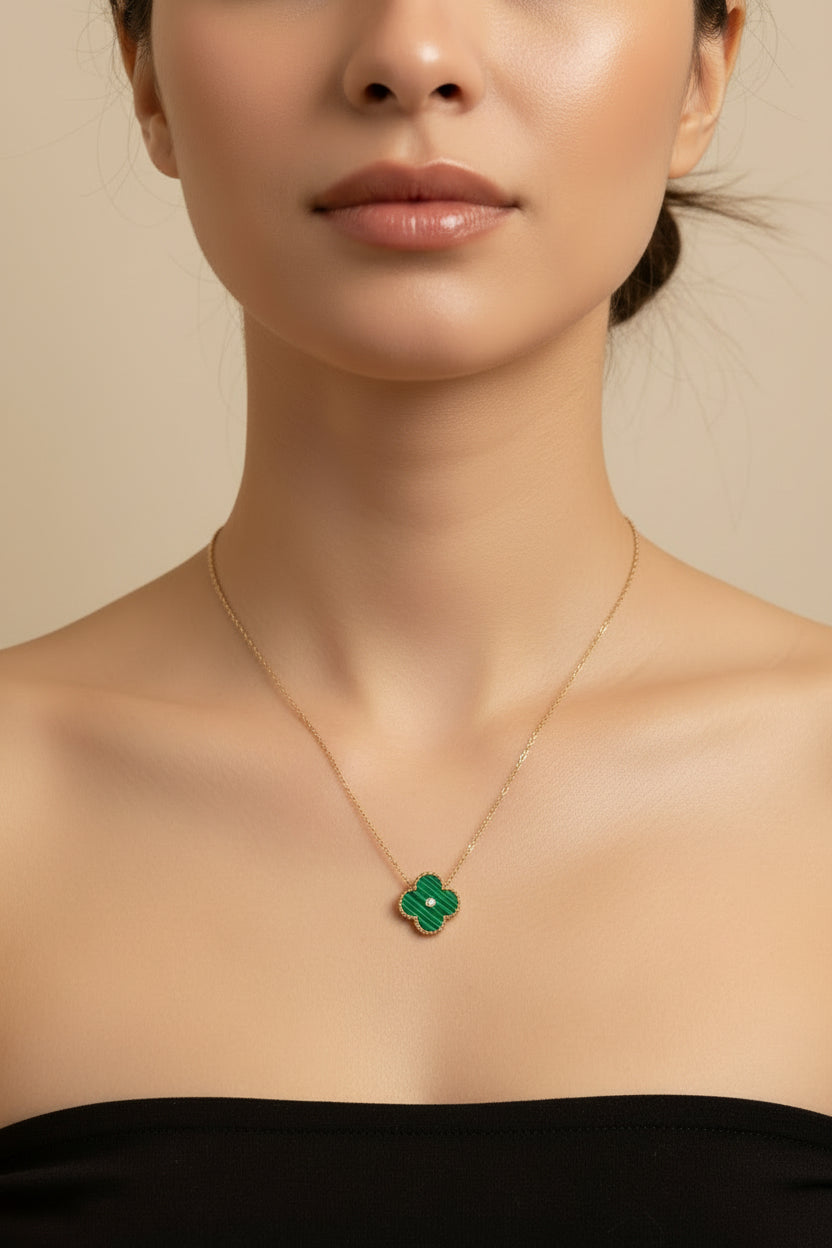 Green  clover with stone