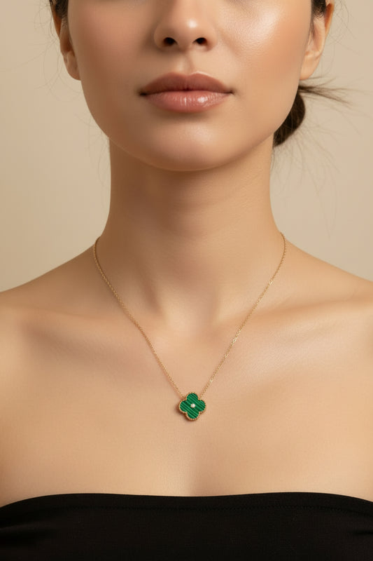 Green  clover with stone