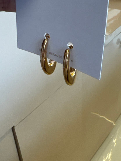 Rose gold earrings