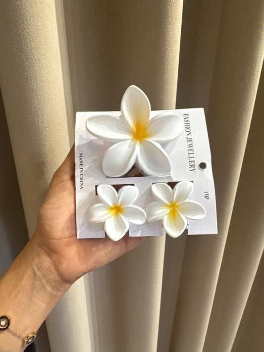 Combo hair clip