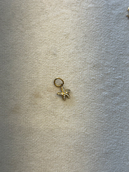 Star charm