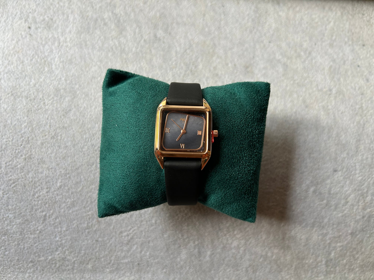 Astor Watch
