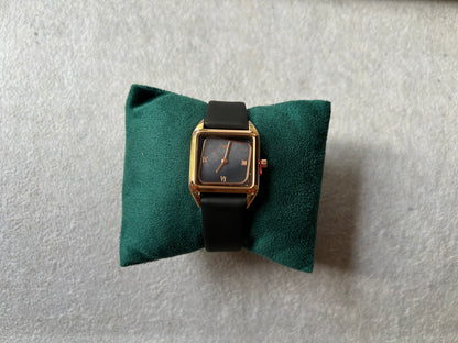 Astor Watch