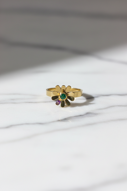 Adjusble ring