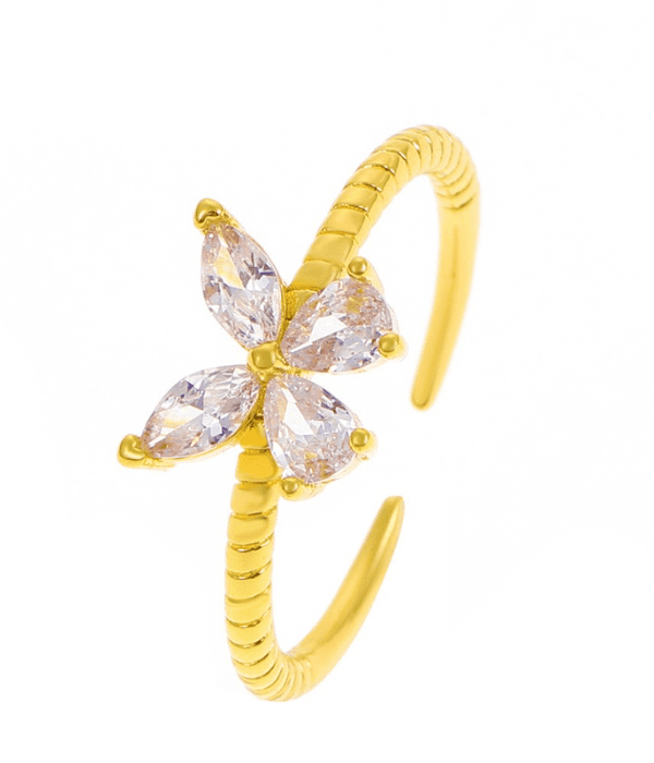 Nirva Gold